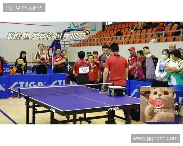 聚焦上海乒乓球队的节奏与发展探讨及未来展望