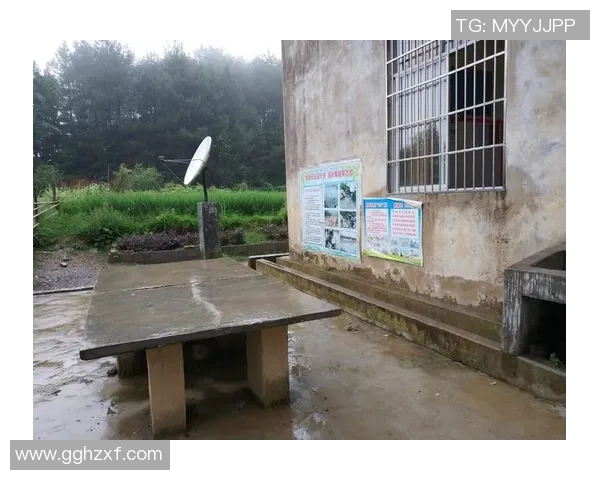 深度对话：赵芳的乒乓球人生