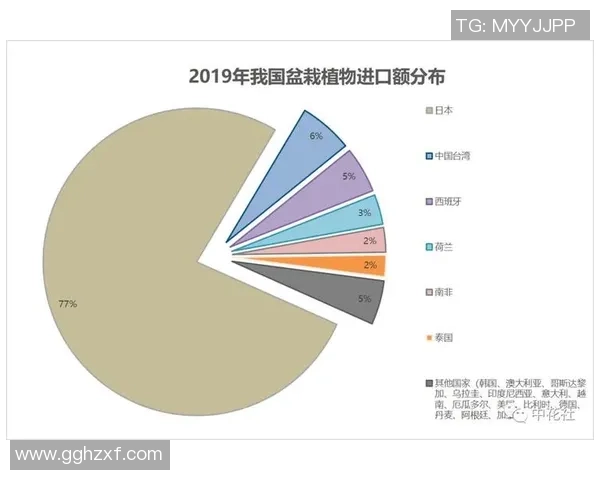 独家分析：重庆乒乓球队的状态对比
