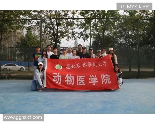 赛后复盘：武汉网球队 vs 西安网球队的意识