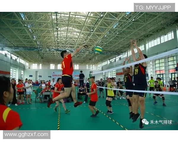 排球巨献:探秘上海排球队的灵活性 排球巨献:探秘上海排球队的灵活性
