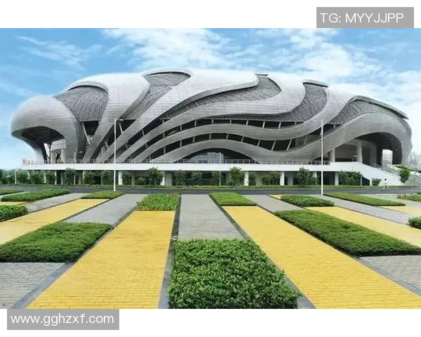 极限运动焦点：广州极限运动队的技术探讨